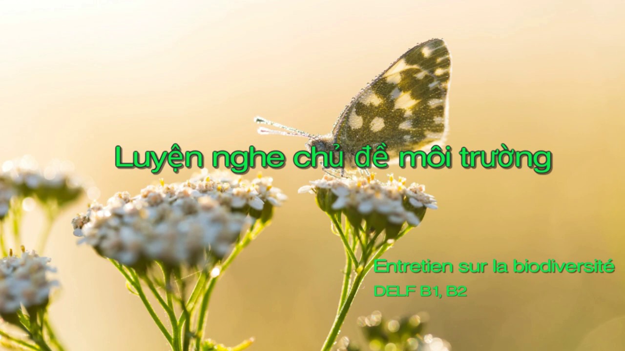 Luyện nghe hiểu tiếng pháp, chủ đề môi trường, DELF B1, B2 I Entretien sur la biodiversité