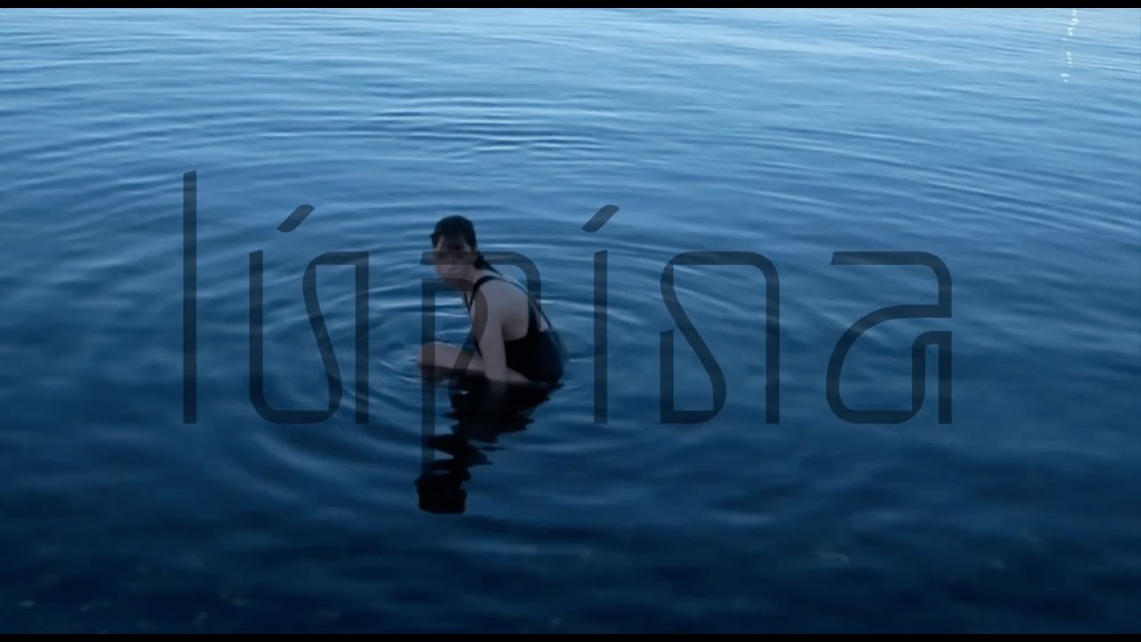 lúpína - gegnsæ (Official Audio With Translated Lyrics)