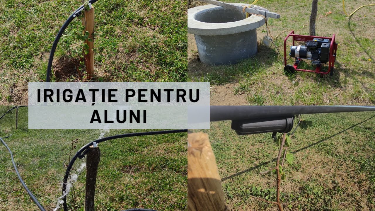 Pun SISTEMUL DE IRIGAȚIE în funcțiune!
