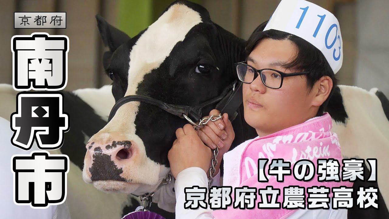 乳牛にかける青春！ 京都府立農芸高校｜南丹市｜【ふるさとDays】