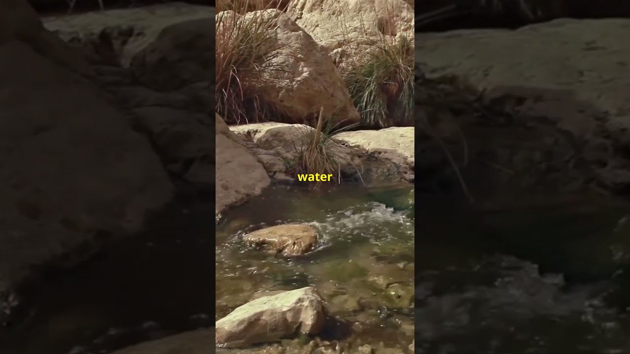 The Spirit of the River: Life Lessons from Flowing Water. #LifeLessons #NatureWisdom #RiverFlow