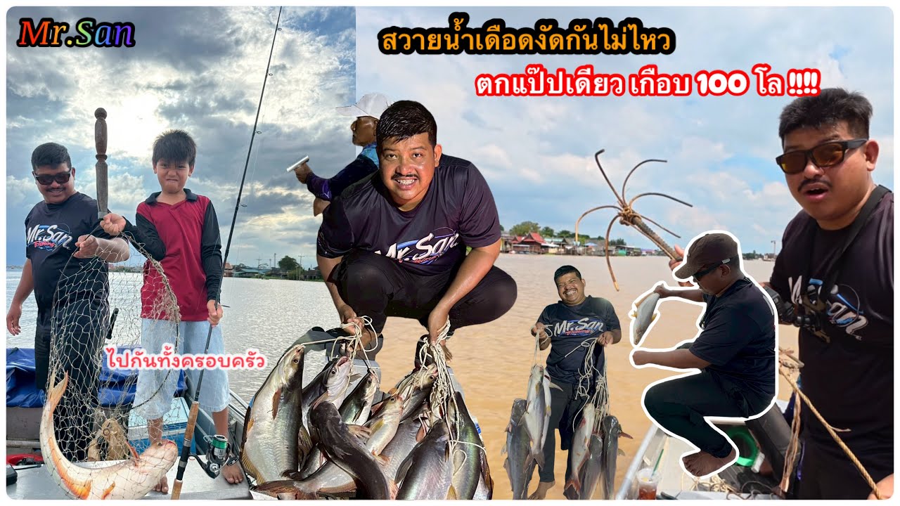 ตกปลาสวายแม่น้ำเจ้าพระยาเขาว่าสวายกินเดือดจัด !!! #มิสเตอร์สันฟิชชิ่ง 