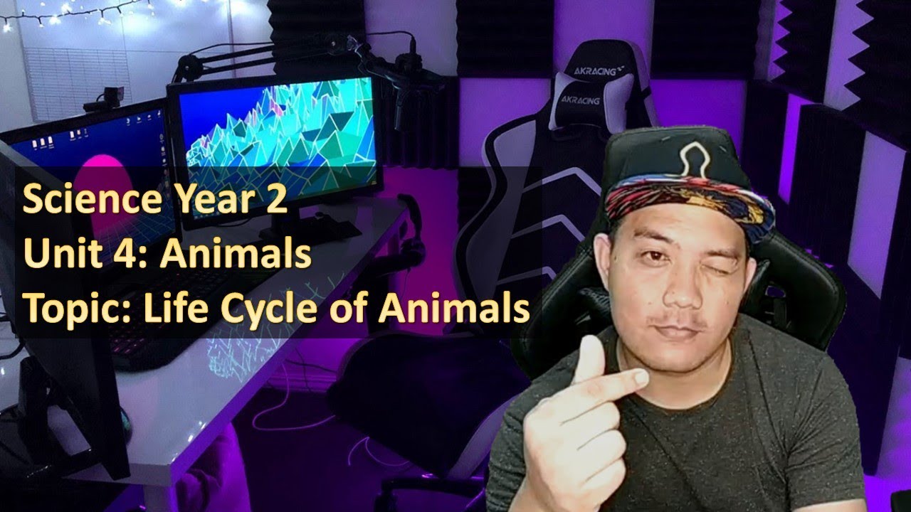 Science Year 2: Unit 4: Animals: Topic: Life Cycle of Animals