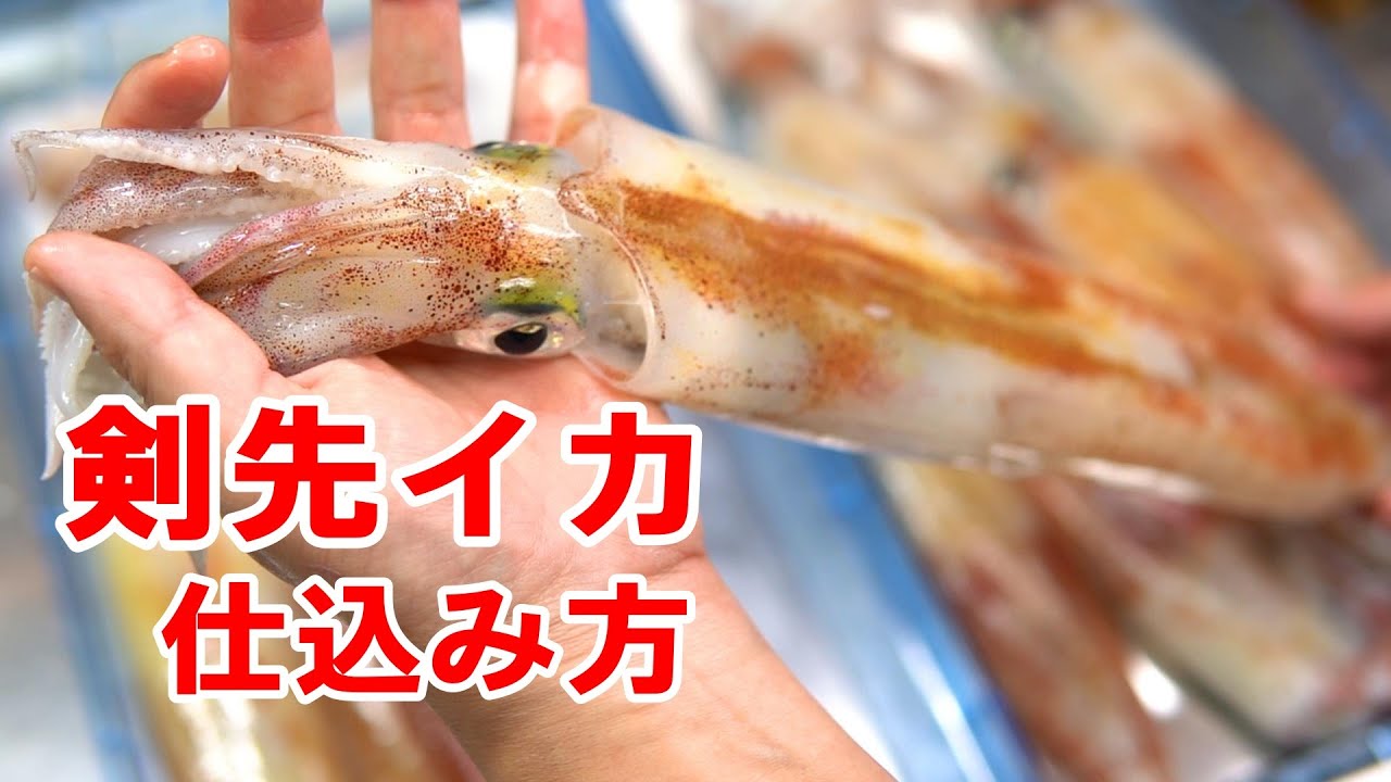 🔪🔪剣先イカのさばき方と刺身まで！釣り人用の仕込み方です。2021 5 30 裕凪丸マイカ料理編