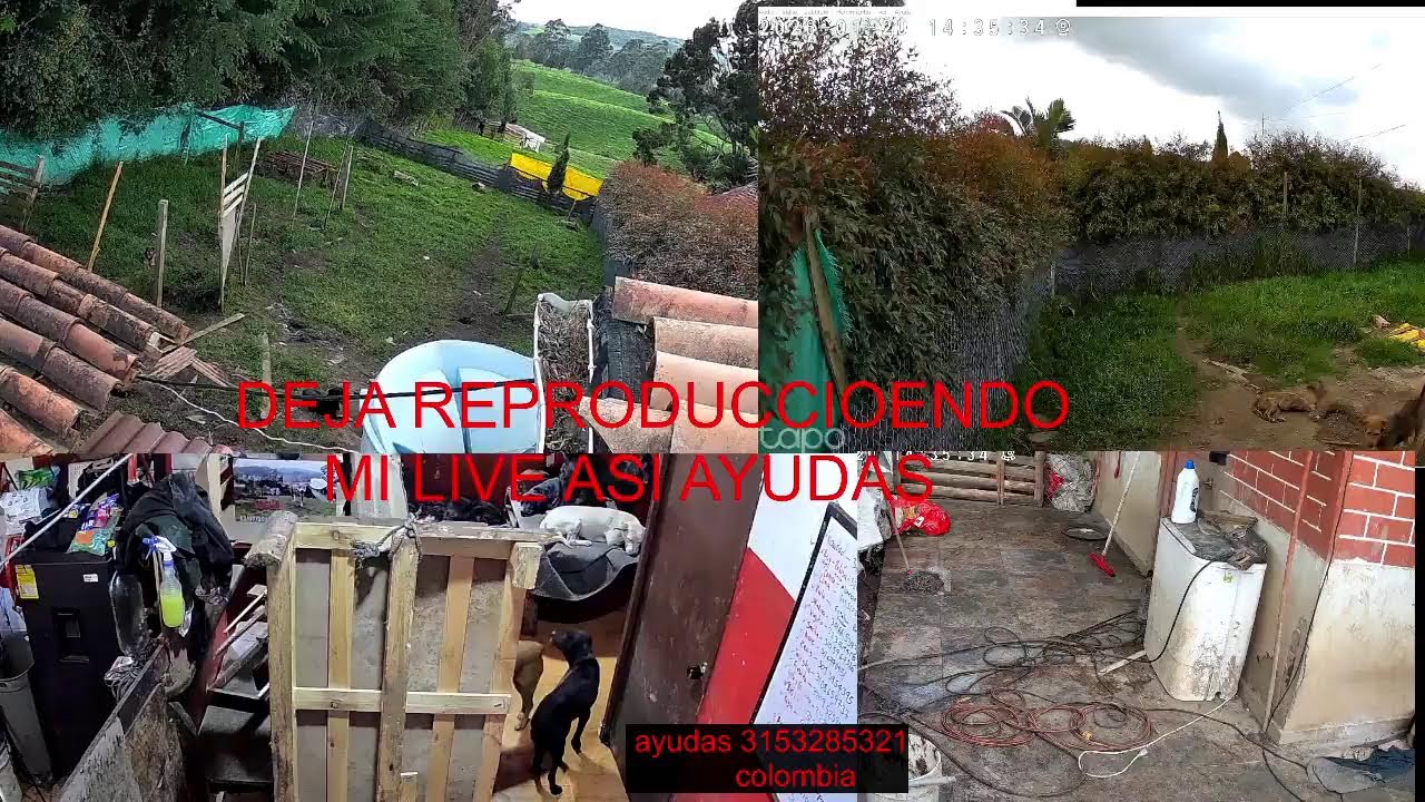 Transmisión en vivo de moto huellitas