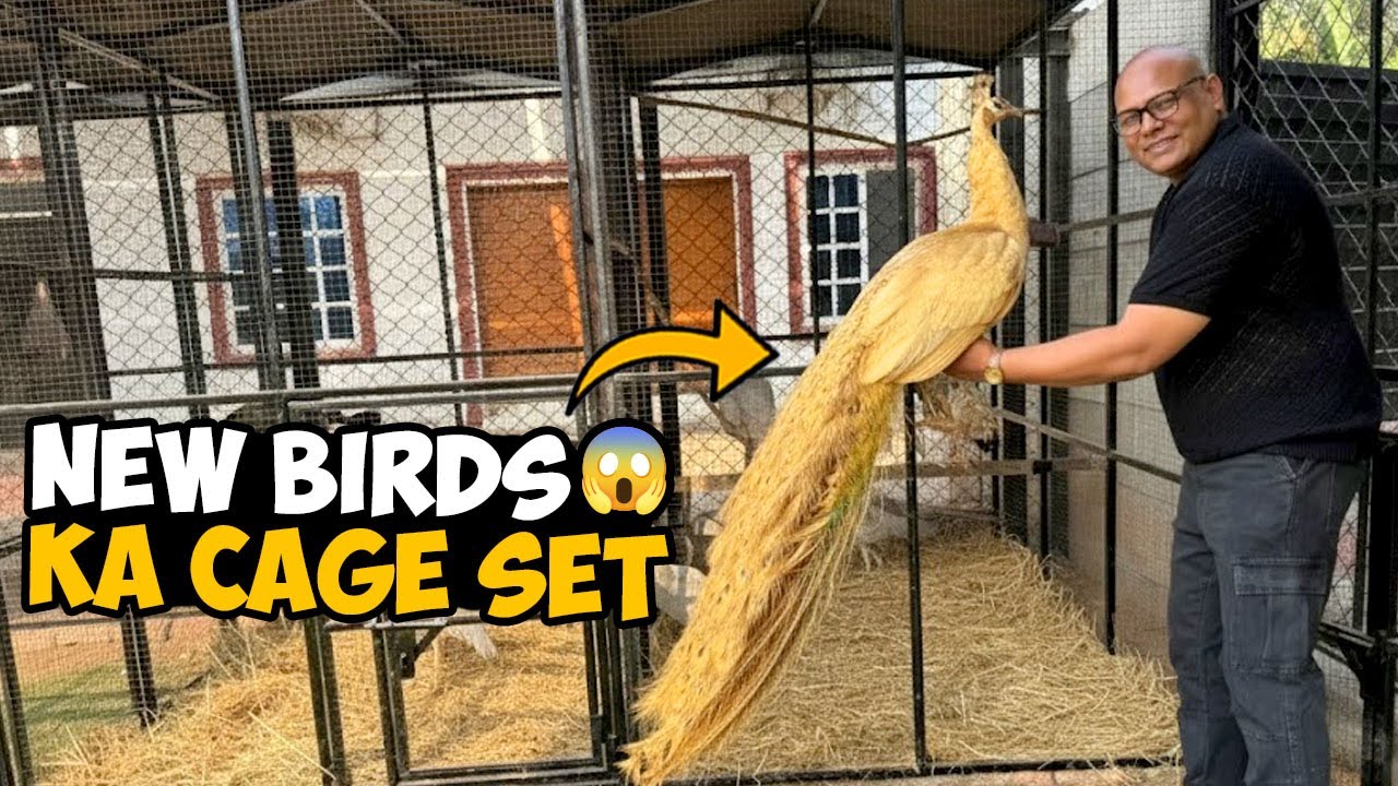 New Birds Ke Liye Cage Set Kar Diya 🐦✨ | BT Farm Stories