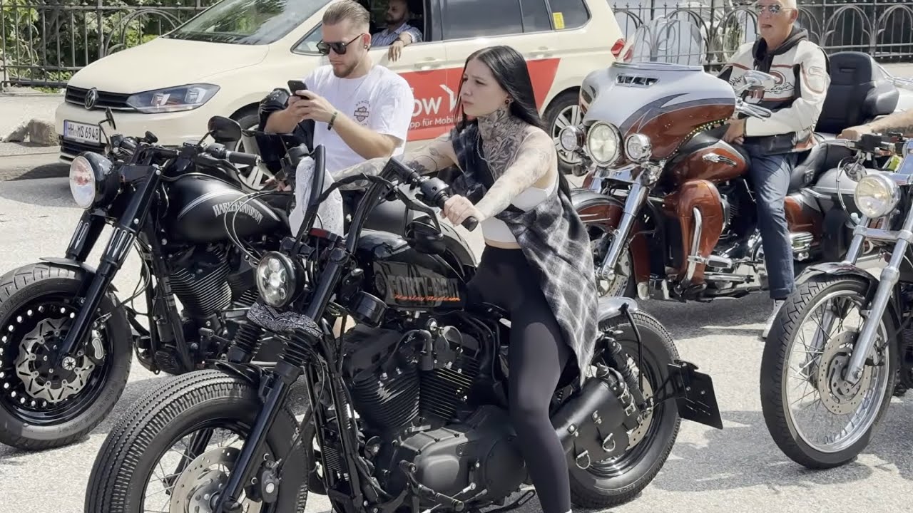 Harley, Nice Motorcycles Part 9, 2024 and 2025 #harley #custom
