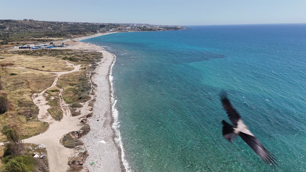 Bonelli&rsquo;s Eagle Close Call: Thrilling Drone Encounter Over Cyprus Turquoise Coast 🦅🌊