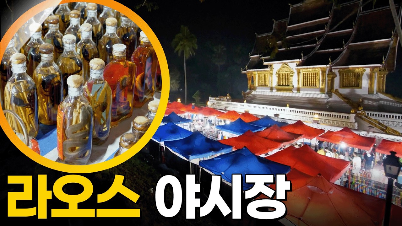 라오스 여행 [걸어서 세계속으로] KBS 190504 방송