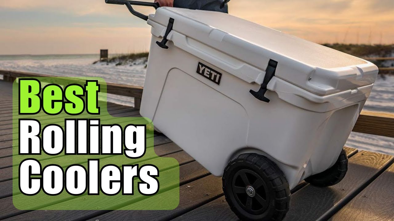 Best Wheeled Rolling Coolers for the Money