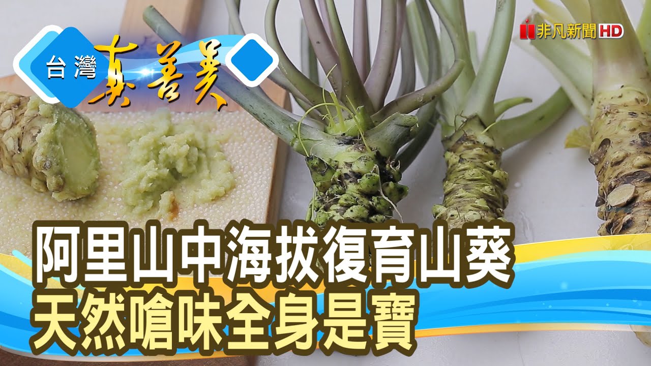 阿里山綠金“山葵”復育路｜阿里山極邊山葵農產行｜【台灣真善美】2025.08.02
