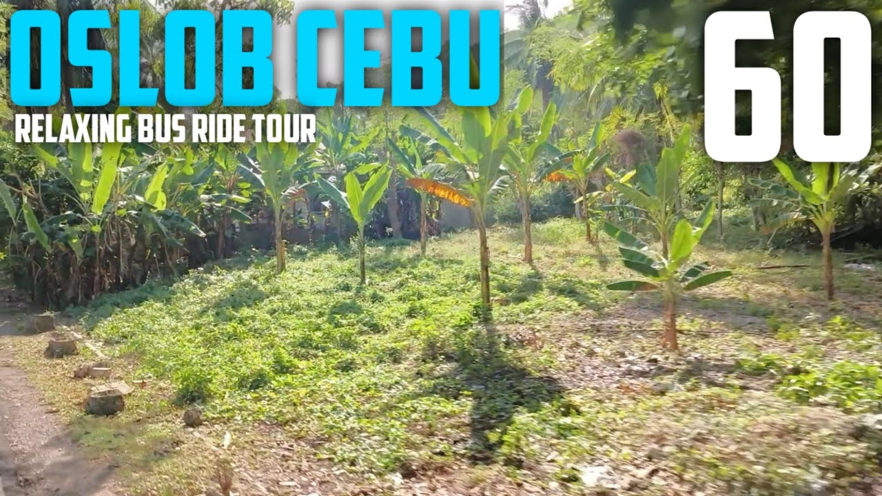 OSLOB CEBU 🇵🇭 | BUS RIDE TOUR EPISODE 60