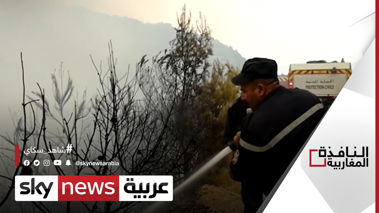 حرائق الجزائر تدمر جزء كبيرا من محمية القالة | #النافذة_المغاربية