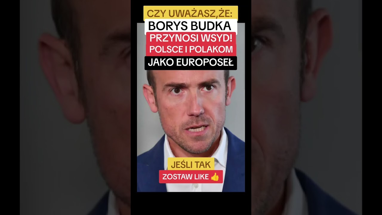 CZY BORYS BUDKA PRZYNOSI WSYD POLSCE I POLAKOM JAKO EUROPOSEŁ?