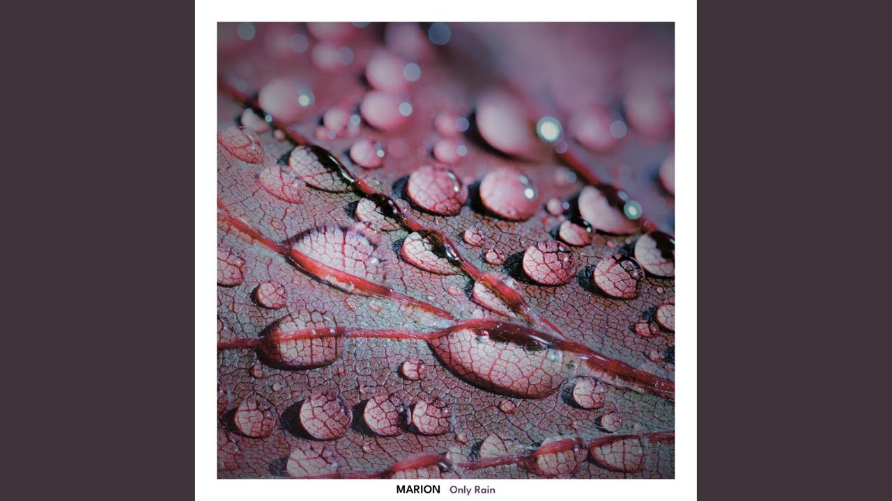 Only Rain