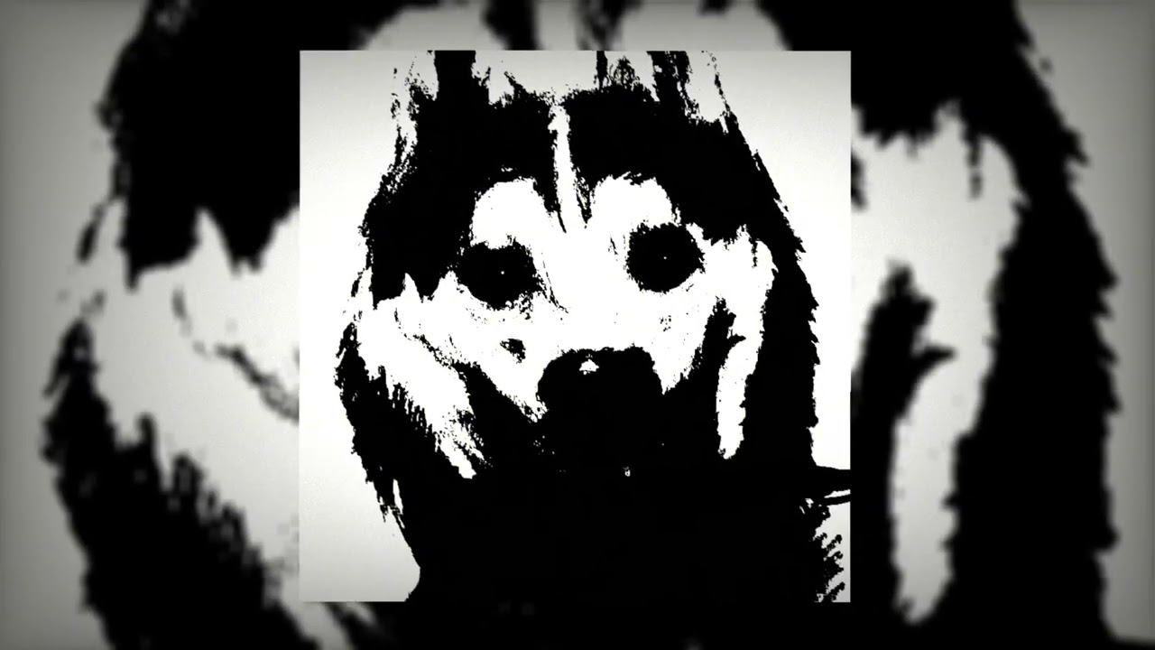 𝐁𝐎𝐓𝐀 𝐌𝐄𝐆𝐀 𝐒𝐋𝐎𝐖𝐄𝐃 𝐑𝐄𝐕𝐄𝐑𝐁 𝐁𝐀𝐒𝐒 𝐁𝐎𝐎𝐒𝐓