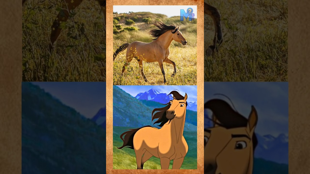 O Cavalo que INSPIROU o Filme Spirit ainda EXISTE!