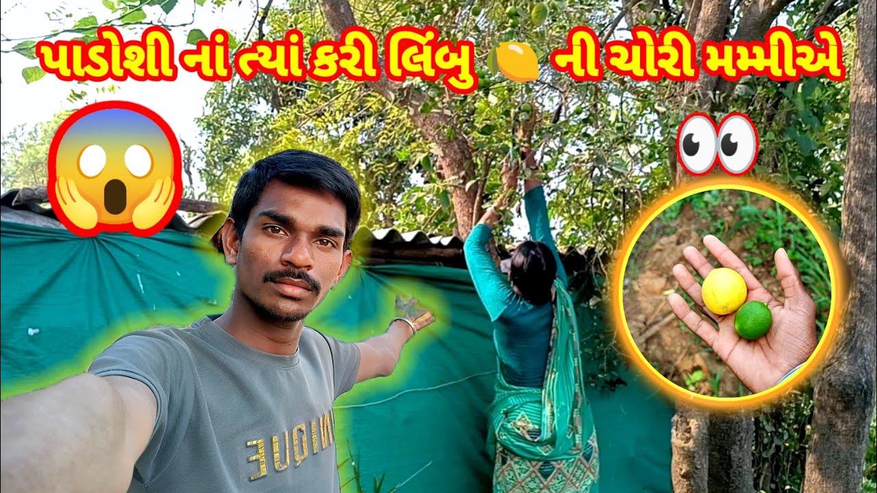 પાડોશીના ખેતરમાં કરી ચોરી 😱 