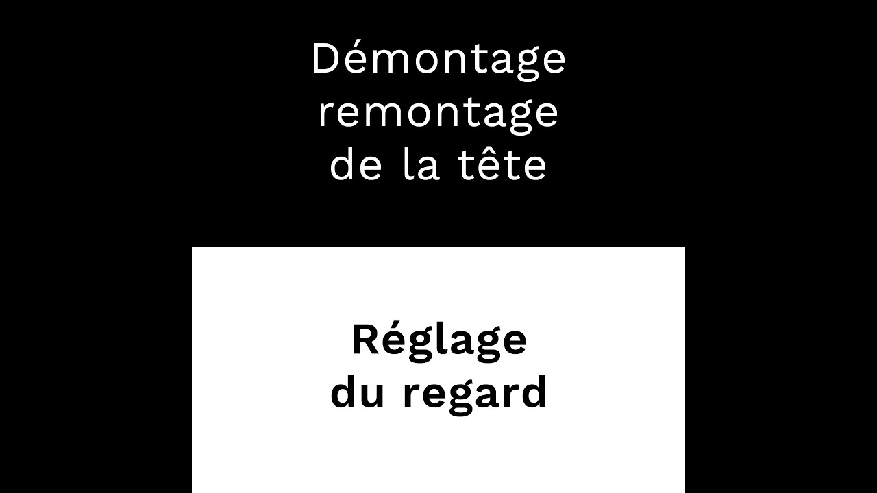 D&eacute;monter la T&ecirc;te de sa Poup&eacute;e TPE - R&eacute;glage du Regard et Perruque