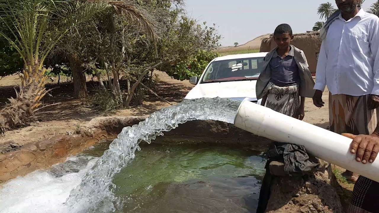 زبيد منطقة المدمن