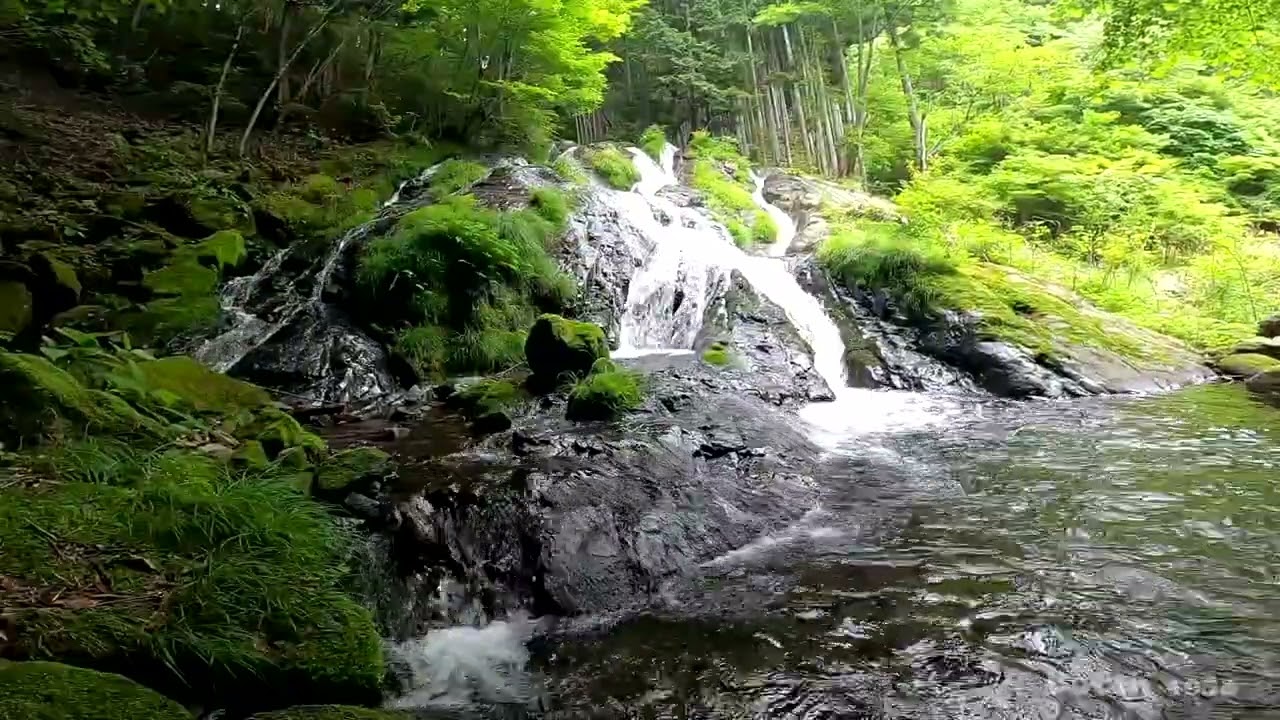 【530-25】【夢の滝】【東京都 檜原村】 【ブッチの3分タッキング】【202306】【1080ｐ60fps】【Japan waterfalls】