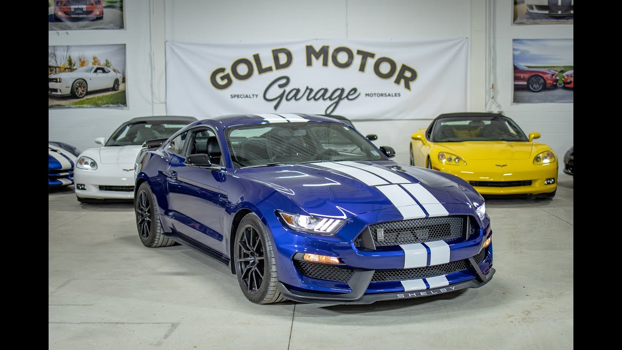 2016 Shelby GT350 Deep Impact Blue | Gold Motor Garage