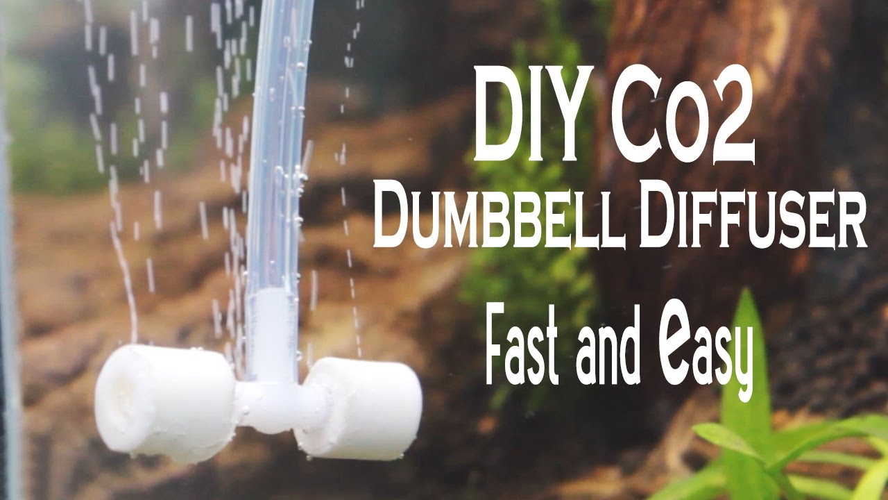 DIY CO2 Diffuser Easy & Cheap - Dumbbell Diffuser