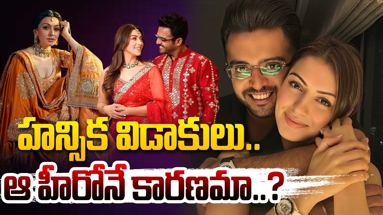 హన్సిక విడాకులు..ఆ హీరోనే కారణమా..? Actress Hansika Divorce News | Hansika Divorce #hittvmedia
