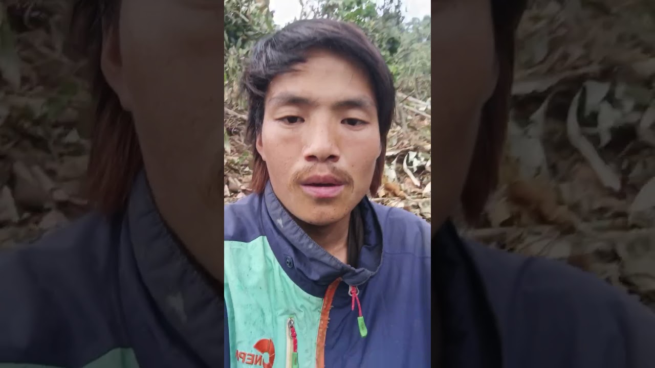 Village Life style slash and burn agriculture in north east Arunachal Pradesh 