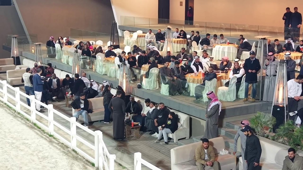 بطوله المرجان للخيول العربية