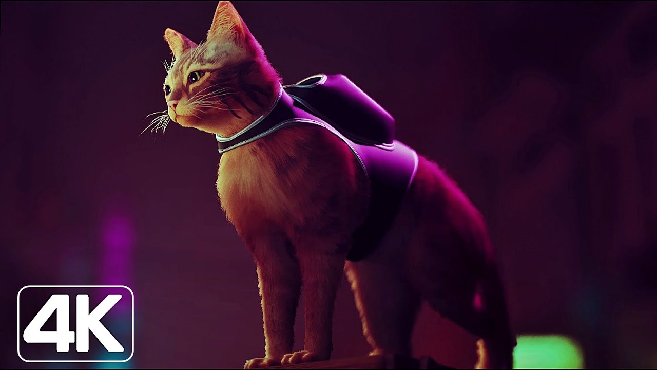 STRAY 🐱 -  Gameplay on [PS5] 4K HDR