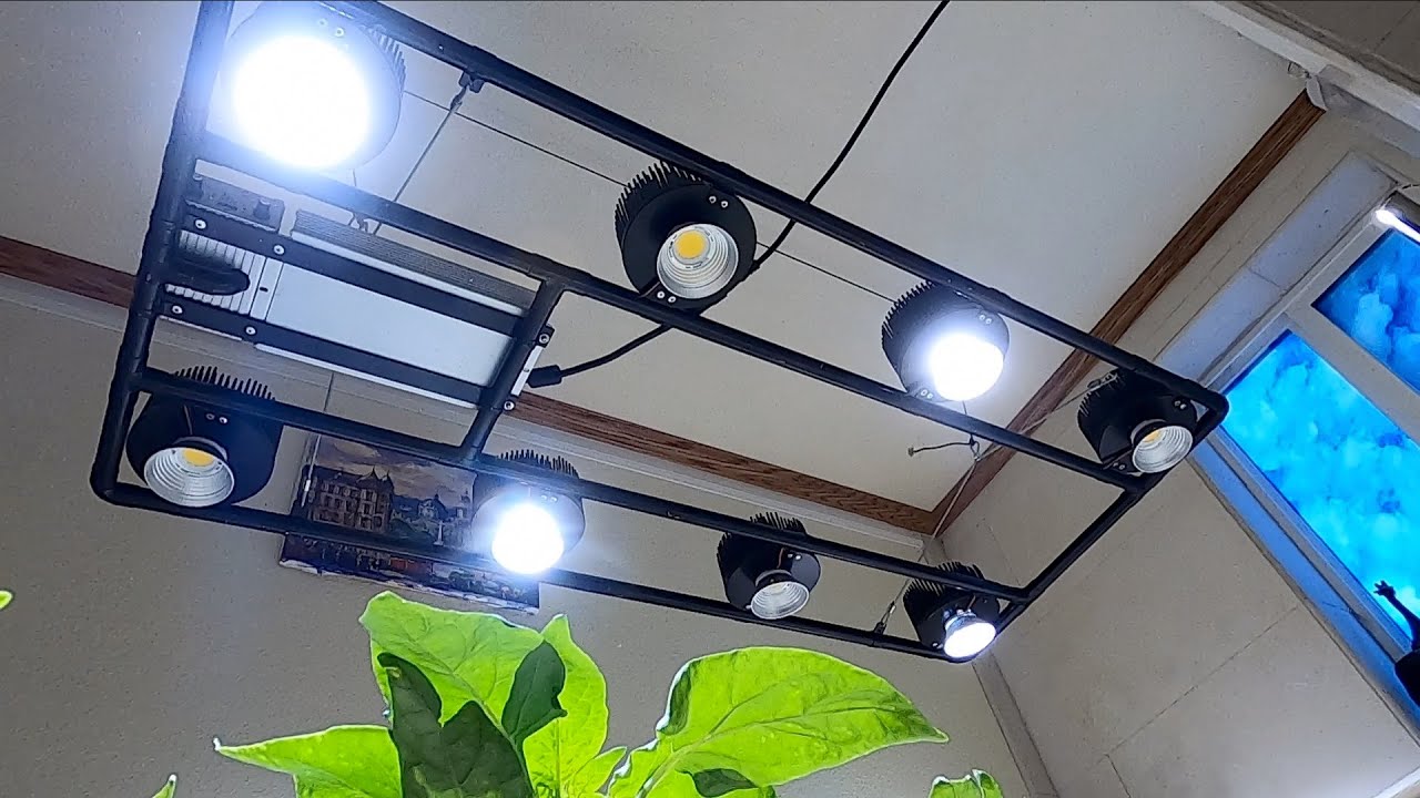 044 Future LED Grow Light technology from  MatrixLights.net