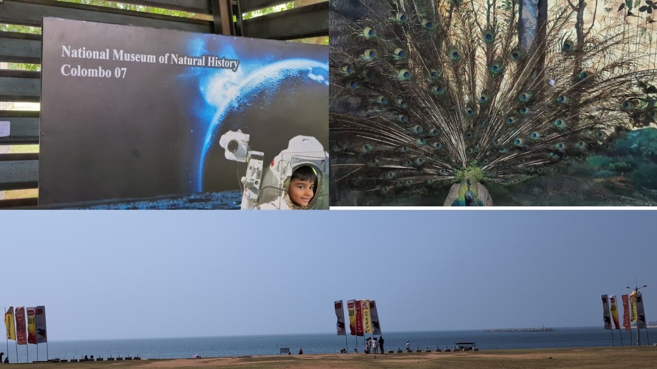 Day 6"Sri Lanka: Colombo Ultimate Itinerary"