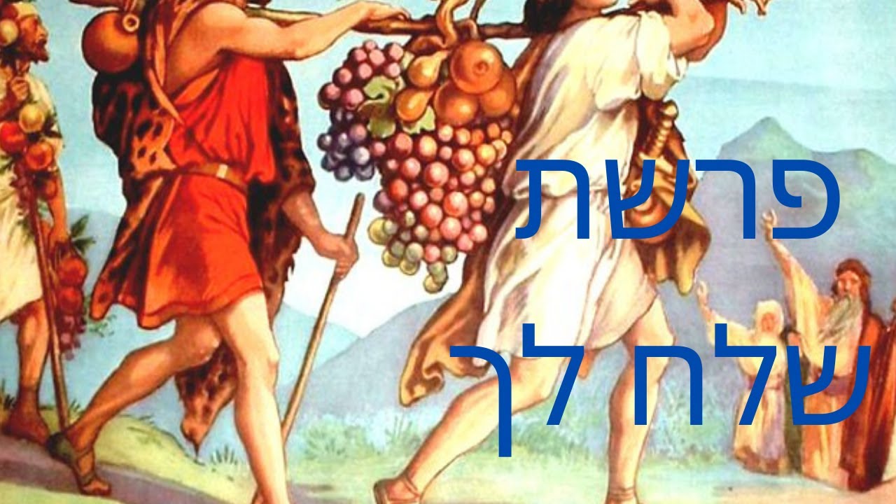 קריאת התורה | פרשת  שלח לך 🔹 לחן תימני * * *