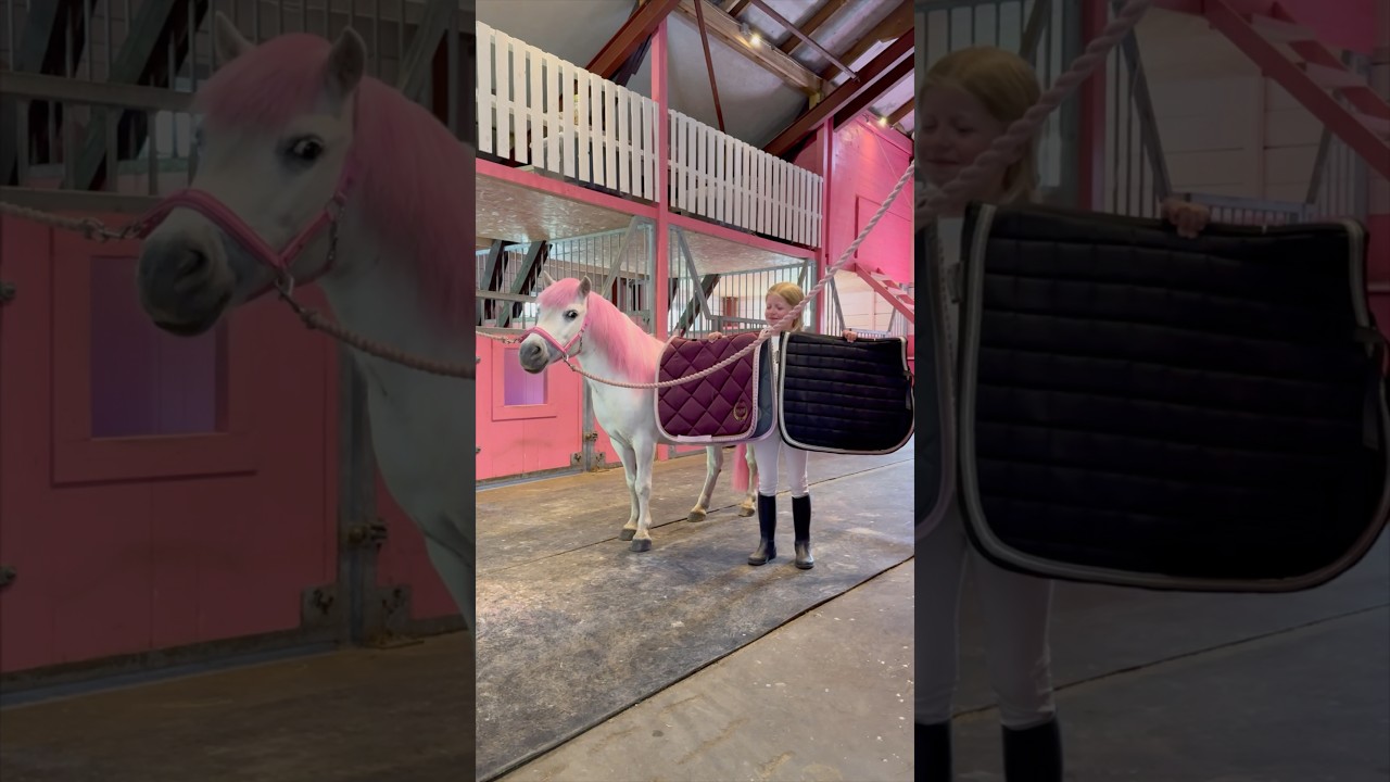 Saddle up with Ella and Soria🩷 #shorts #pony #equestrian #horseriding