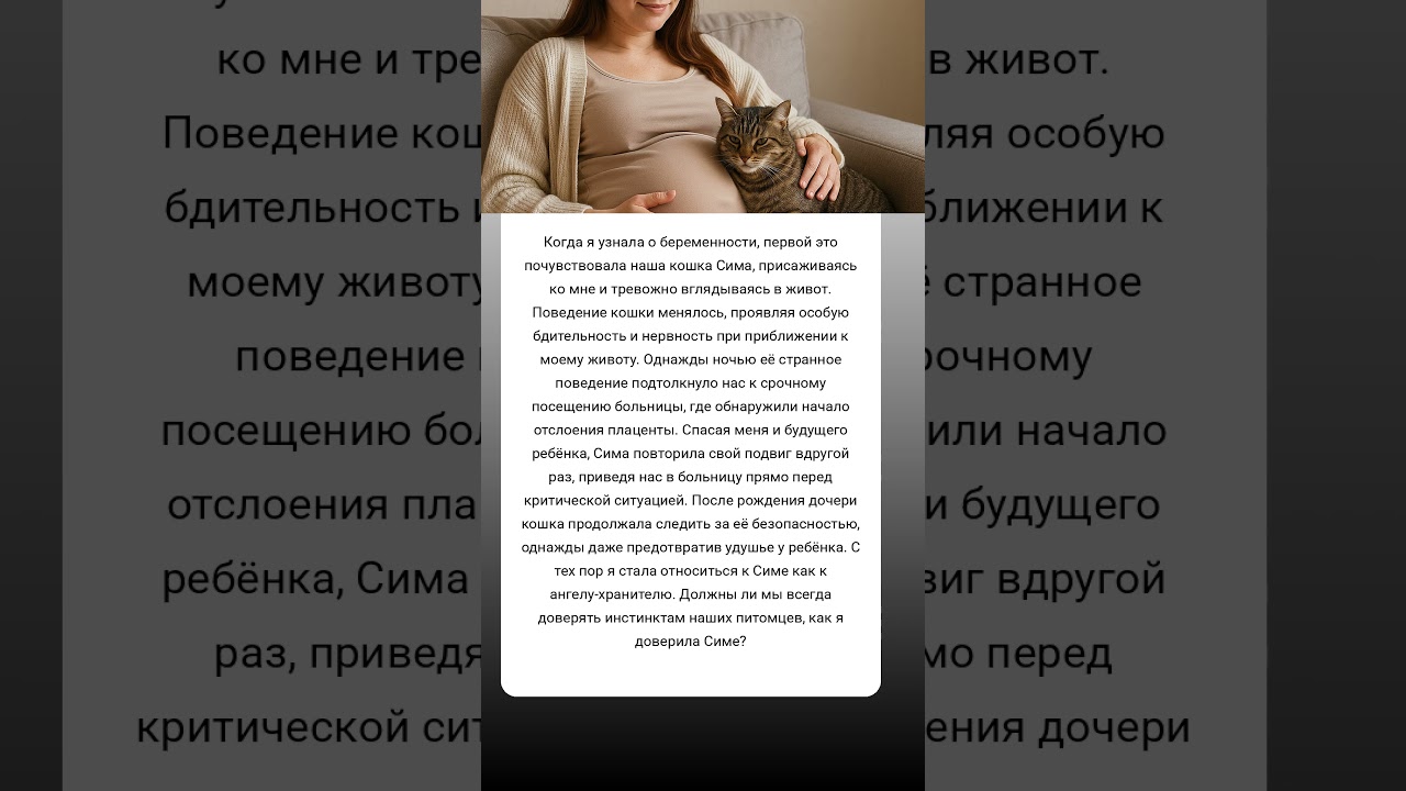 Как моя кошка спасла мне жизнь история истинной преданности 🐱❤️ 