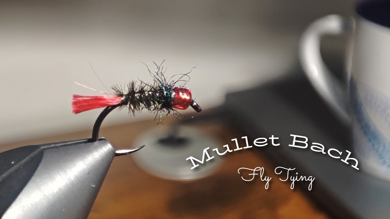Montagem - Mullet Bach - Mosca para Tainha - Mullet fly tying