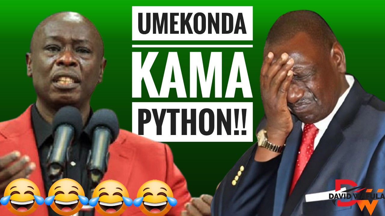 RUTHLESS RIGATHI ROASTS RUTO FOR BECOMING THIN LIKE A SNAKE!