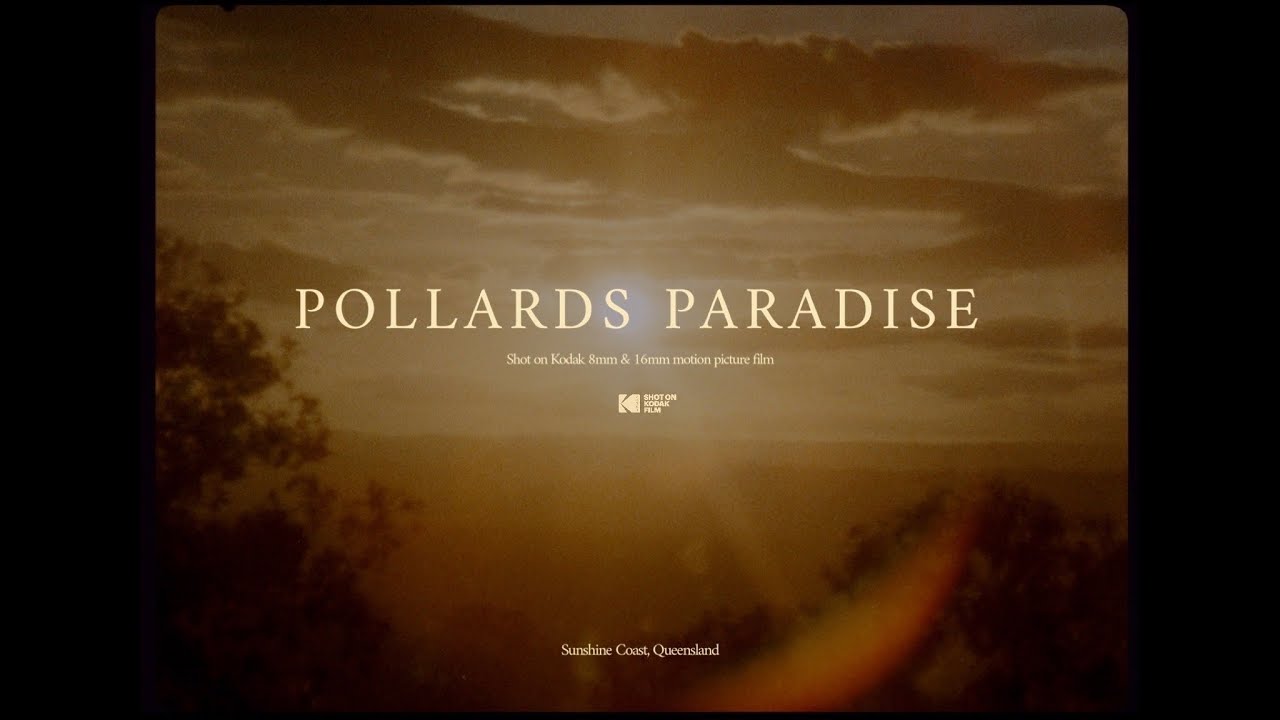 Kodak 16mm surf film - Pollard’s Paradise