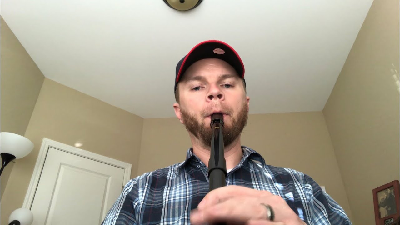 Whistle Review - Susato Kildare Low D