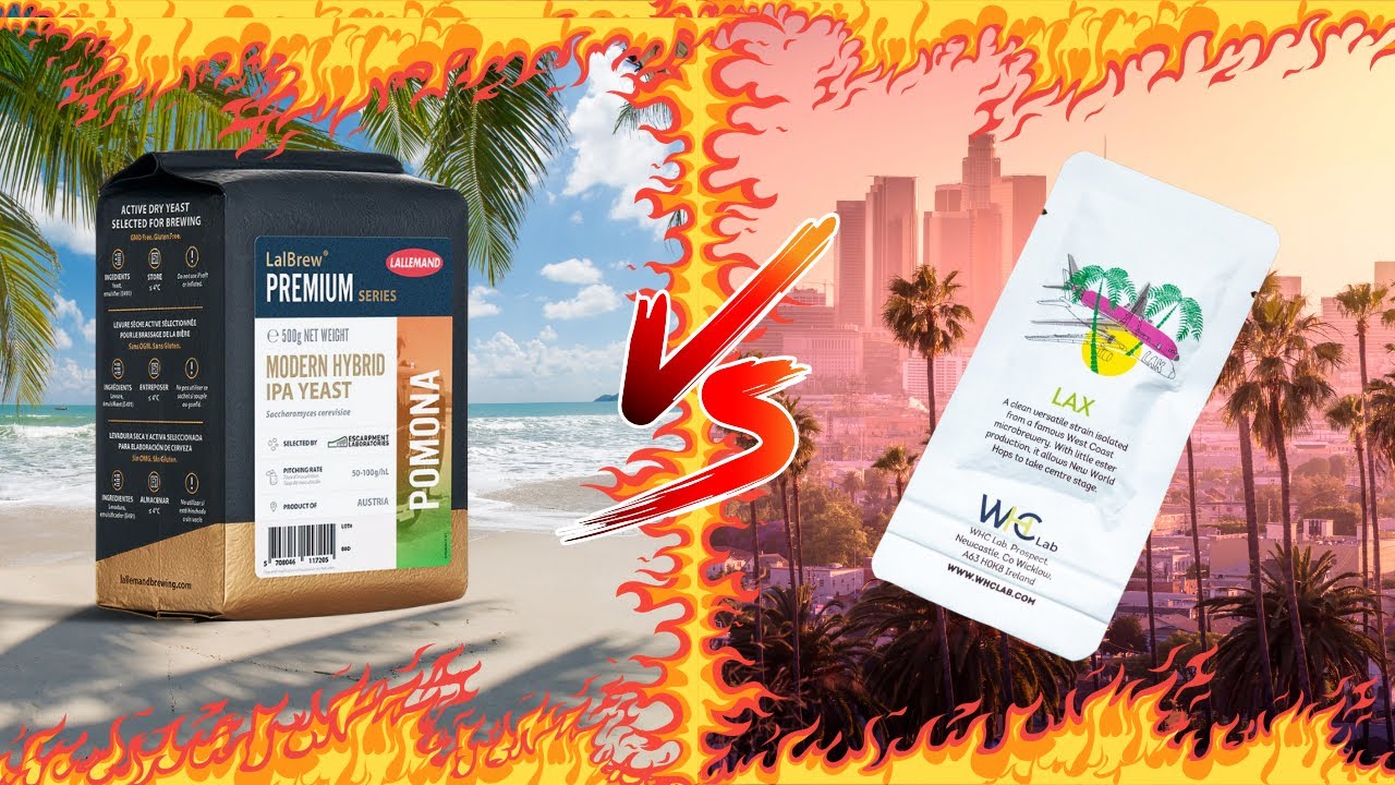 LalBREW POMONA VS WHC LAX (PART 1) | BREWDAY | BREWZILLA GEN4 | HOPCAT 50L | HOMEBREWING | ALL GRAIN