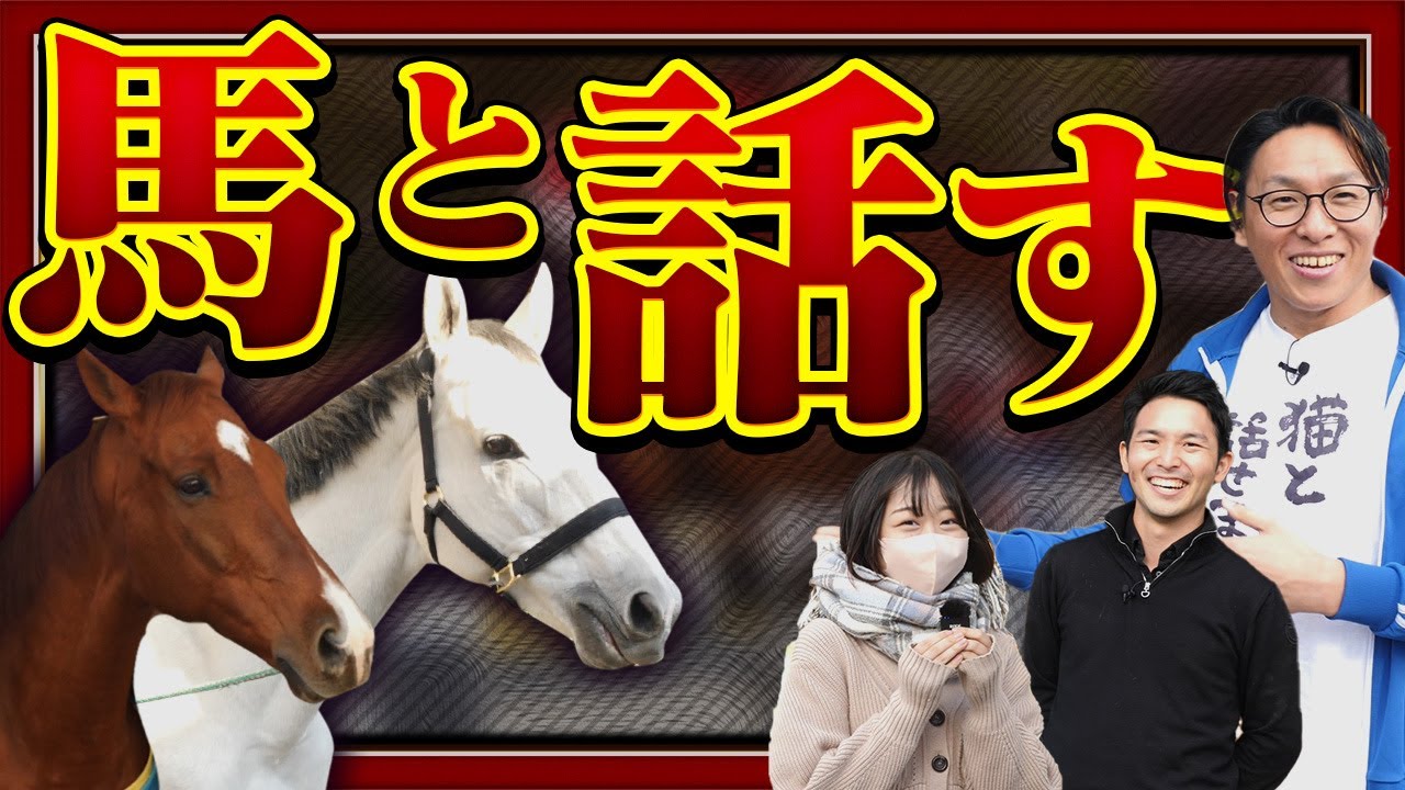 【本当⁉️】驚きの馬の本音とは、、、
