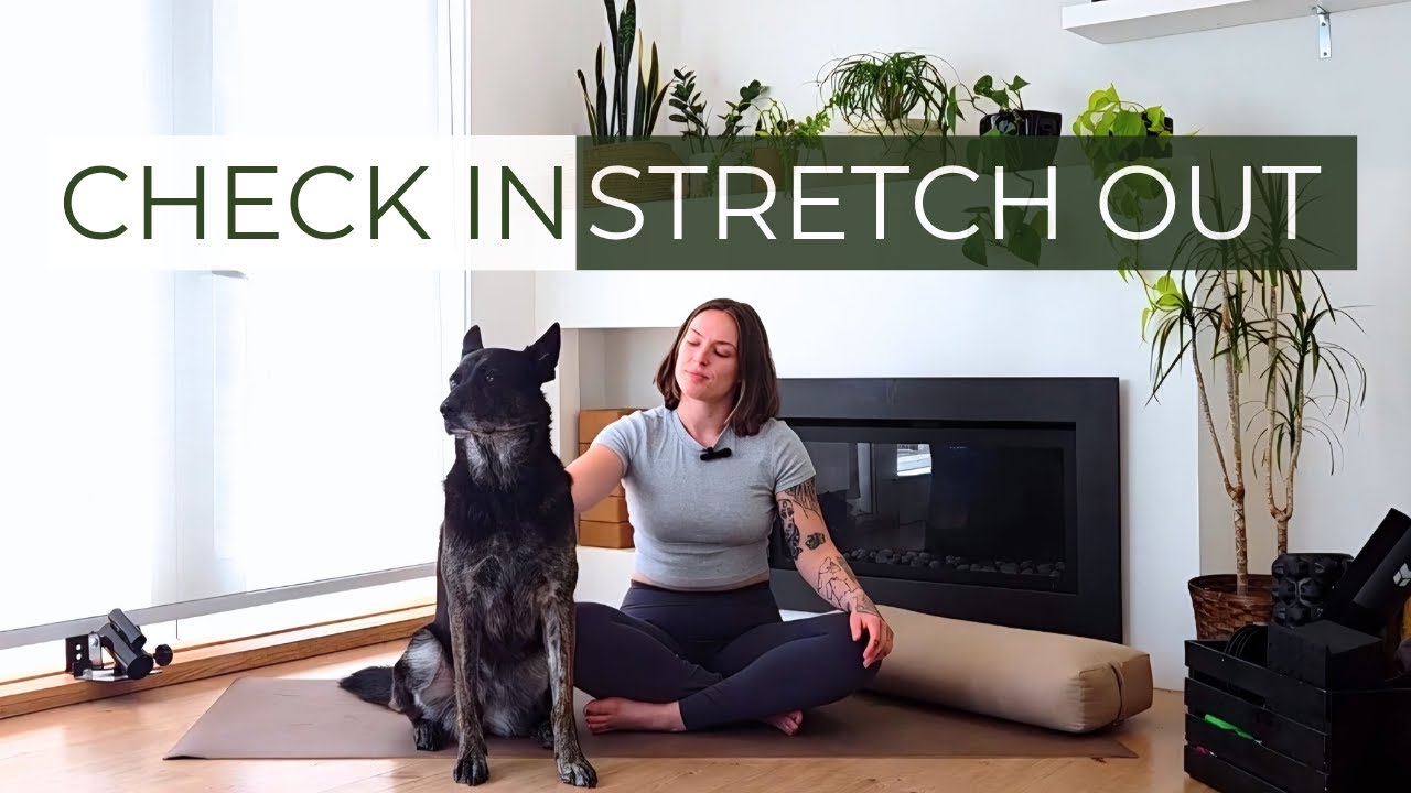 🌙 DEEP STRETCH + SELF CHECK-IN | 16-Min Grounded Practice for Body + Mind