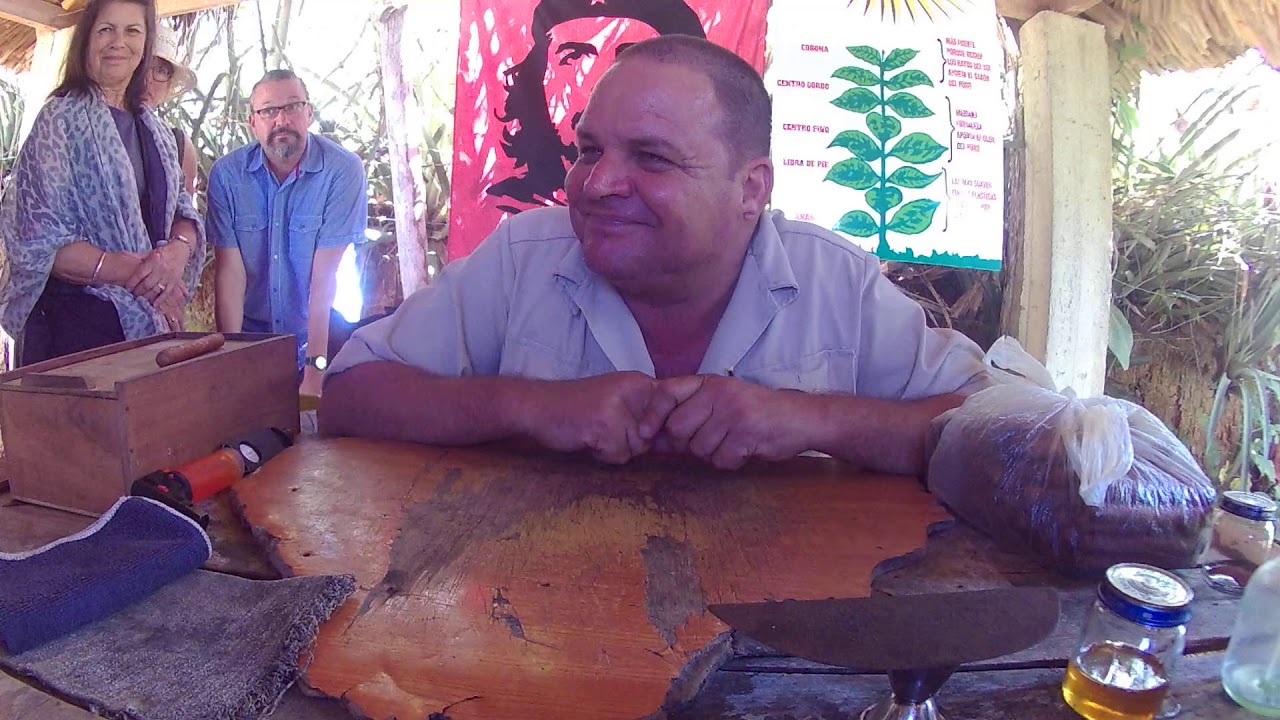 Proceso del tabaco, puros habanos en el mejor lugar Viñales, Pinar del Rio, Cuba
