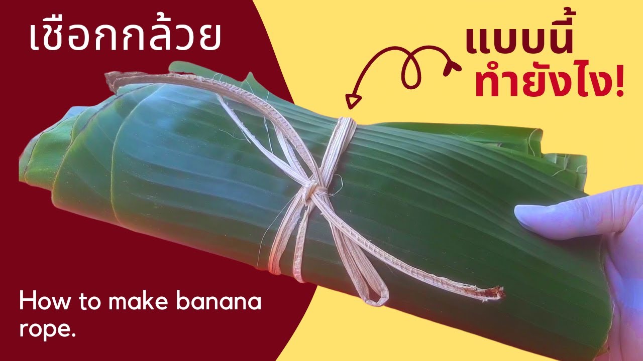 เชือกกล้วย วิธีทำเชือกกล้วย ทำง่าย ทำเองใช้เอง  | How To Make Banana Rope Fibers At Home