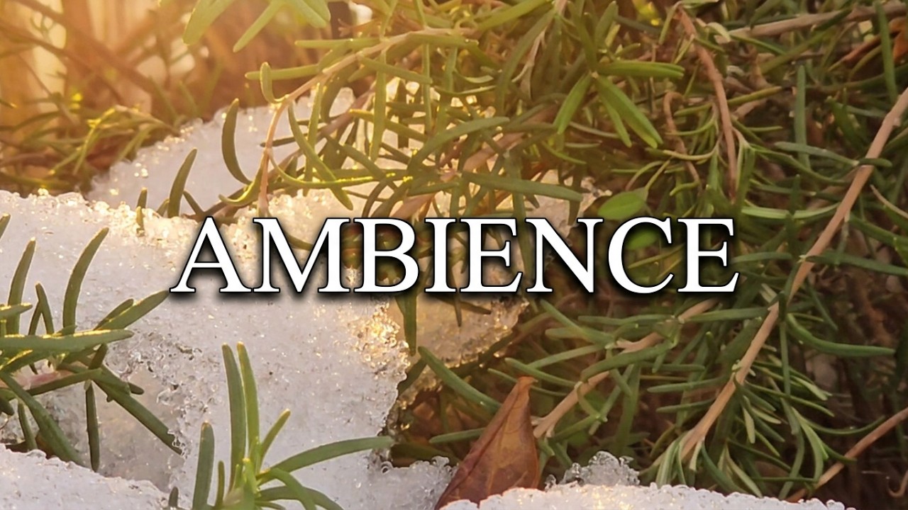 Melting Snow with Rosemary Garden | Gentle Rain on Roof Sounds | Cozy Winter Spring Ambience