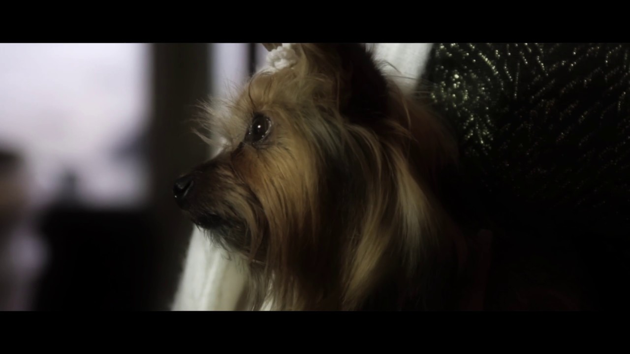 Videoclip - UNEXPOSED Nudité