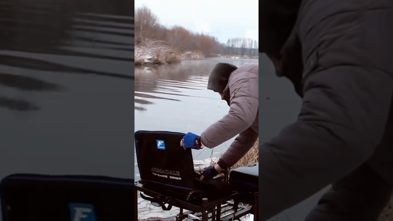 Обзор стола FLAGMAN ARMADALE Feeder! #feeder #fishing #рыбалка #shorts