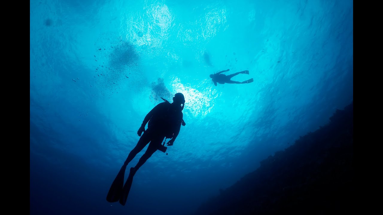 Check out Molokini's Backwall. Maui Scuba Diving at it's Finest!