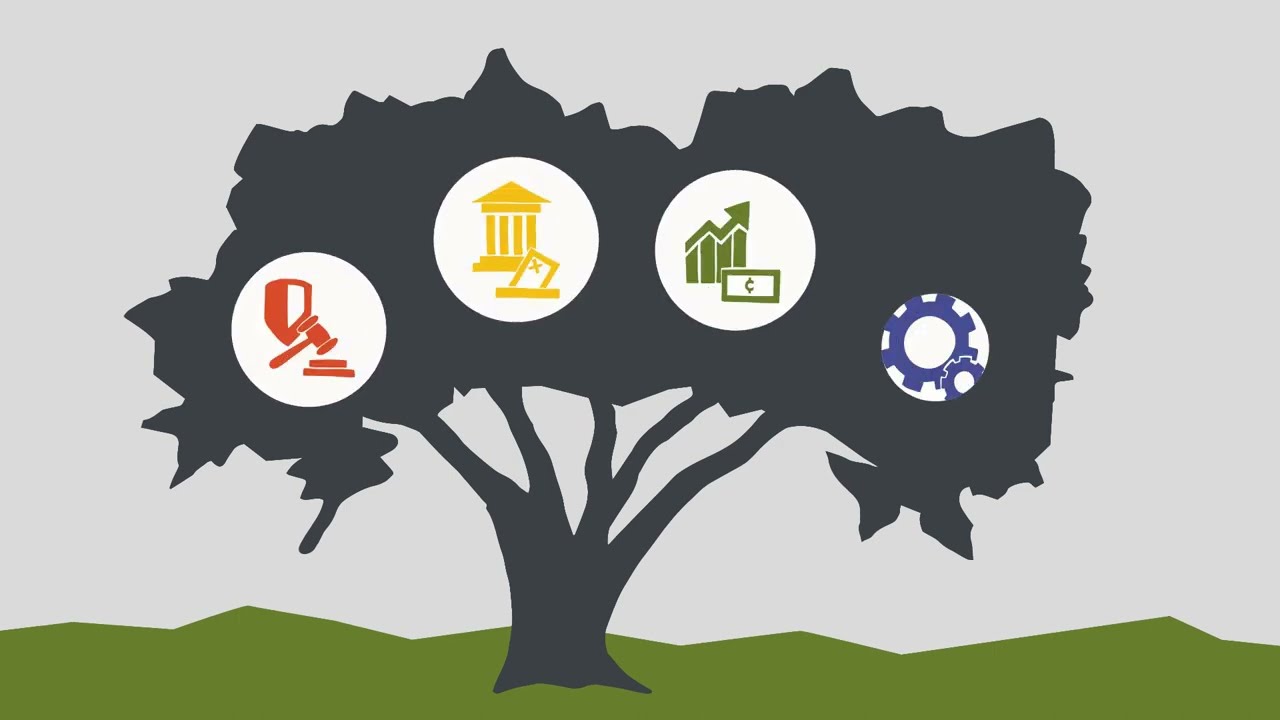 About the IIAG
